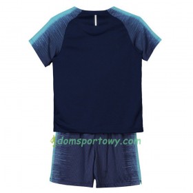 Koszulka Tottenham Hotspur Dziecięcy Wyjazdowe Koszulki Piłkarskie 2018/19 Krótki Rękaw